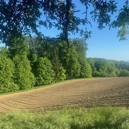 Appartamento Wiener Marchtring