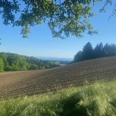 Wiener Appartamento Marchtring